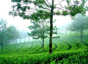 Munnar